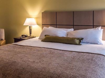 Candlewood Suites Gonzales - Baton Rouge Area, An Ihg Hotel מראה חיצוני תמונה